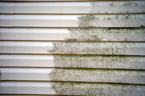 Best Moving and Downsizing Cleanouts  in Yorktown Heights, NY
